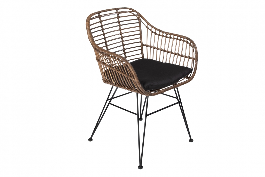 Esszimmerstuhl Armlehnenstuhl Rattan Farbe braun inkl. Kissen ANTALYA itemprop=
