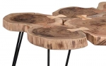 SAM® Beistelltisch Couchtisch 6 Baumscheibe Akazie Natur LOGAN