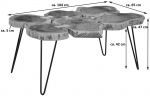 SAM® Beistelltisch Couchtisch 6 Baumscheibe Akazie Natur LOGAN