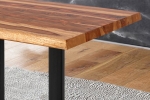 Baumkante Esstisch Sheesham shinafarben 280x100 U-Gestell schwarz Lotti