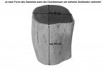Baumstamm-Hocker Akazie massiv lackiert 42x45x42 cm naturfarben IMAR itemprop=