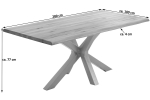 Esstisch Baumkante Massiv Wildbuche 280 x 100 silber Spider-Gestell Riga