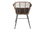 Esszimmerstuhl Armlehnenstuhl Rattan Farbe braun inkl. Kissen ANTALYA