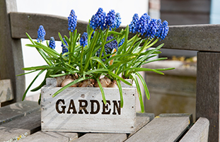 Setzen Sie Ihre Gartenbank gekonnt in Szene