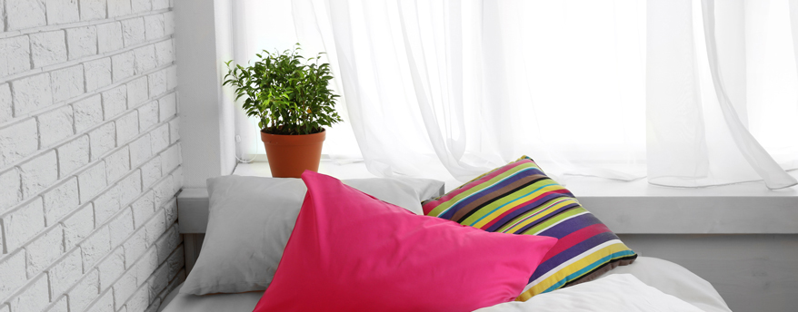 Pflanzen mögen Schlafzimmer mit gleichmäßiger Temperatur