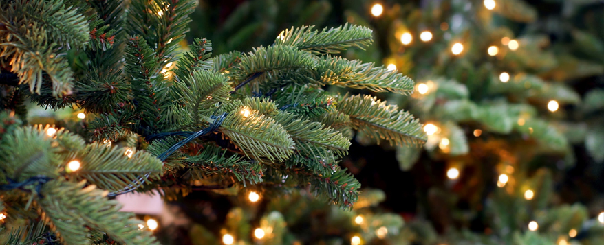 Intakte Isolierungen und Fassungen sowie gesetzliche Prüfsiegel machen Lichterketten zu einer sicheren Weihnachtsbaum-Beleuchtung