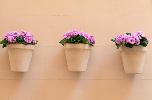 Pflanztöpfe an der Wand sparen Platz