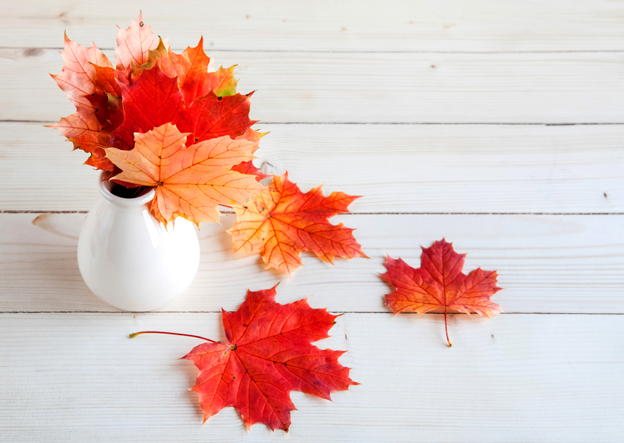 Buntes Laub als Herbst-Deko für den Balkon