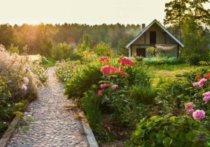 Pflegeleichter Garten: ein Garten für Faule