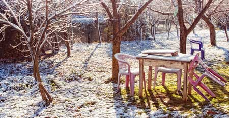 Taut der Schnee im Garten, entfaltet das Streusalz seine schädliche Wirkung