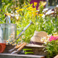 10 Tipps für einen pflegeleichten Garten