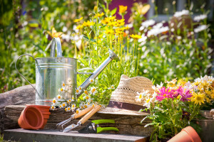 10 Tipps für einen pflegeleichten Garten