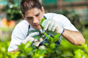 Gartengestaltung: Wie kleine Gärten größer wirken