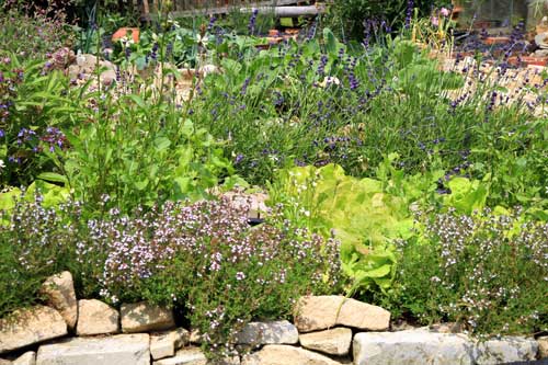 Kräuter, Gemüse und Natursteinmauern gehören zu einem Bauerngarten