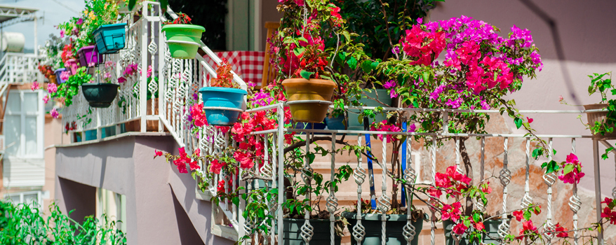 Der Balkon kann mit bunten Gefäßen und Blumen in leuchtenden Farben erstrahlen