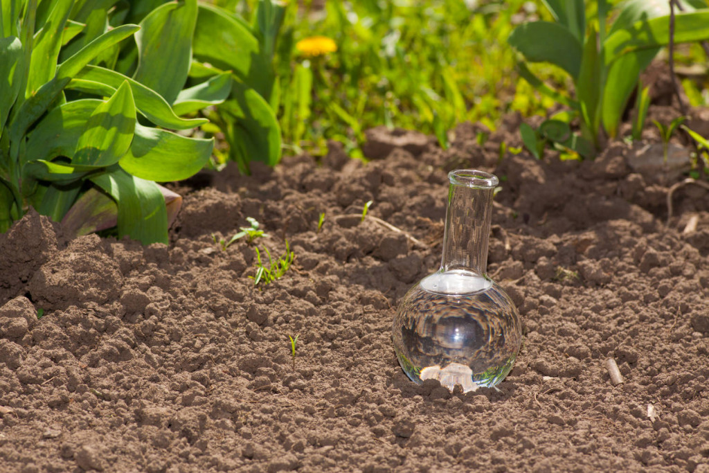 Ob Rasen oder Gemüsebeet: Bodenanalyse sichert optimale Düngung