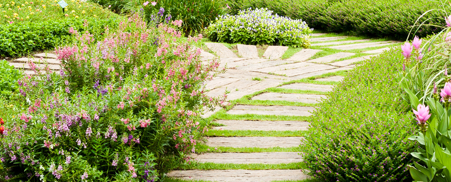 Geschwungene Gartenwege lassen den Garten offener wirken und bringen Dynamik in die Gesamtgestaltung