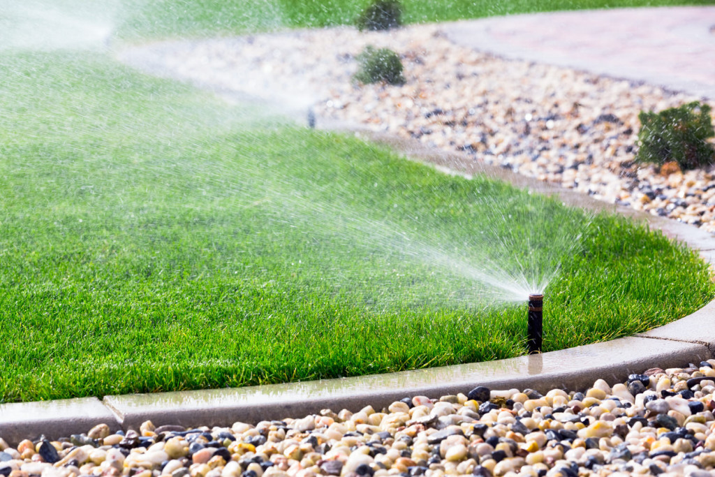 Garten im Frühjahr richtig bewässern - Bewässerungstipps