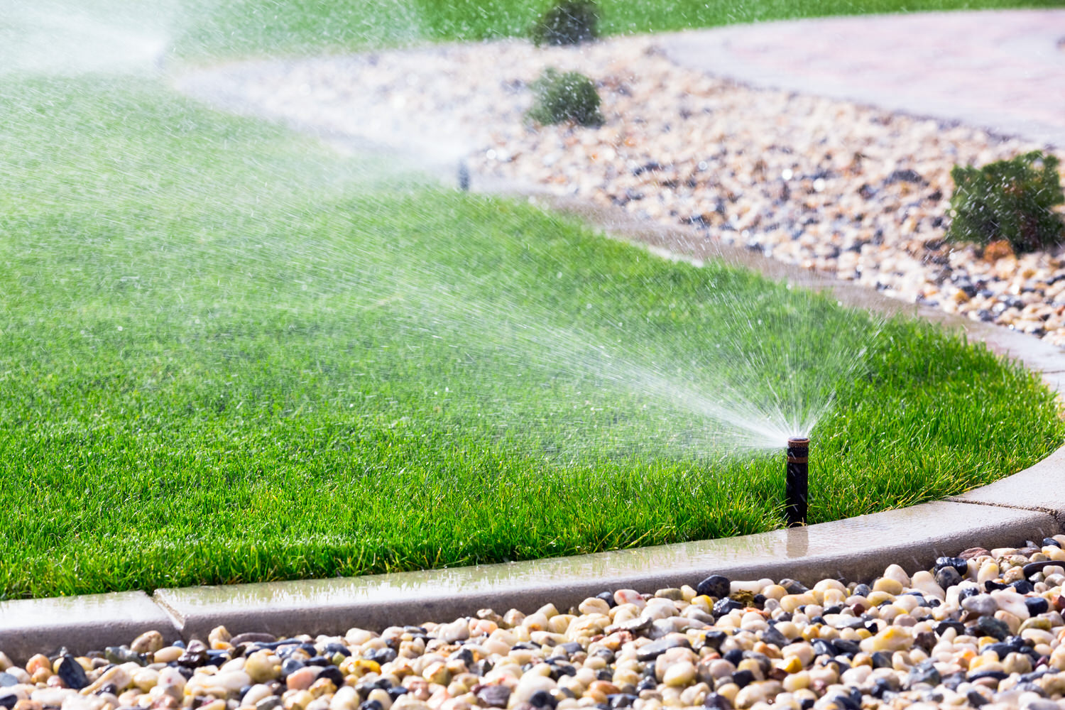 Garten Im Fruhjahr Richtig Bewassern Bewasserungstipps Zuhause Bei Sam