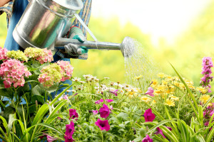 Feng Shui im Garten