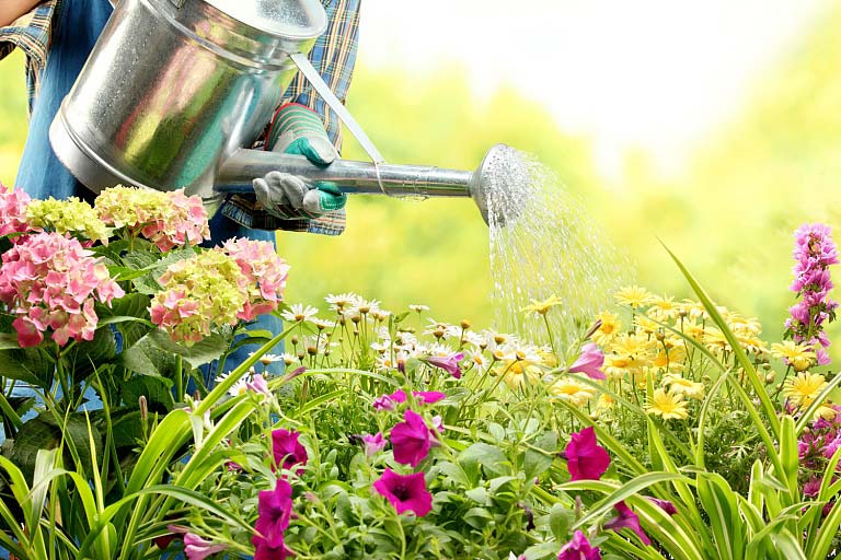 Pflegeleichter Garten: ein Garten für Faule - Zuhause bei SAM® Pflegeleichter Garten: ein Garten für Faule - Zuhause bei SAM®
