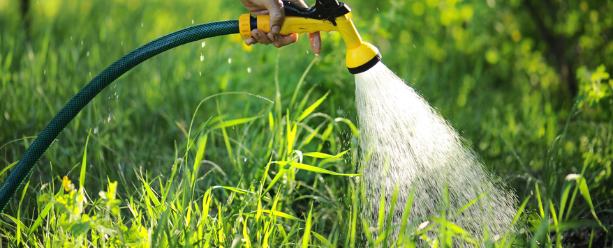Bei der Bewässerung im Garten möglichst nah am Boden bleiben und zum Beispiel einen Schlauch mit Brause verwenden