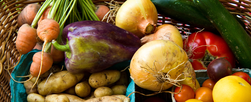Es gibt viele Gemüsesorten die für Anfänger gut geeignet sind, etwa Möhren, Paprika und Zwiebeln