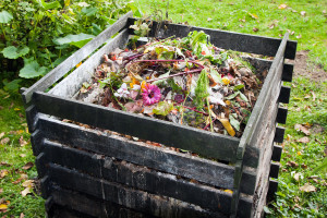 So legen Sie einen Kompost im Garten an