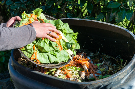 Abfälle aus Küche und Garten sind eine ideale Grundlage