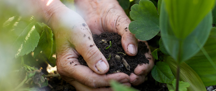 Mit dem Kunststoff-Komposter ohne langes Warten gute Gartenerde erhalten