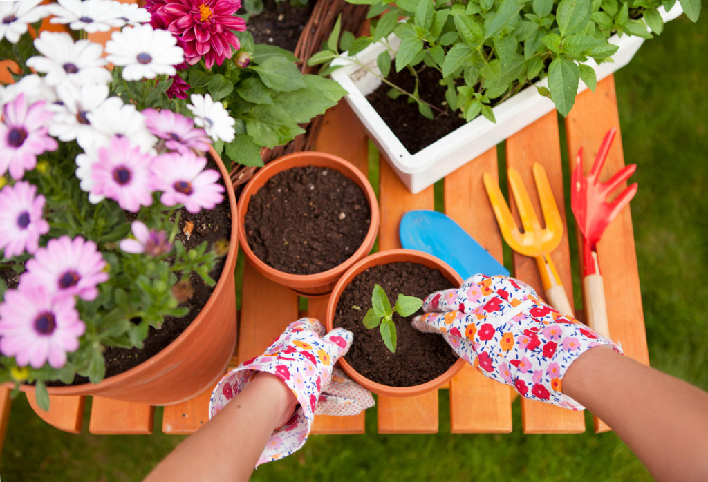 Frühling in letzter Minute: So erblüht der Garten noch