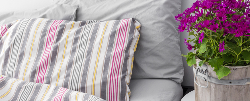 Pflanzen im schlafzimmer gut fürs raumklima? zuhause bei sam®