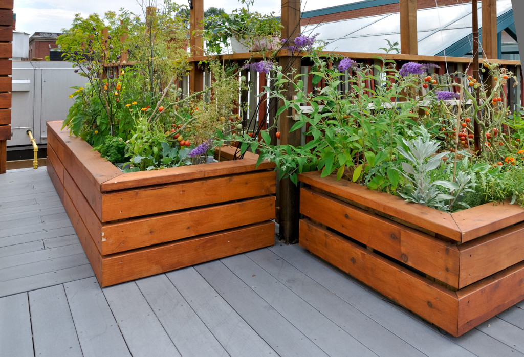 Clever pflanzen im hochbeet: so geht's zuhause bei sam®