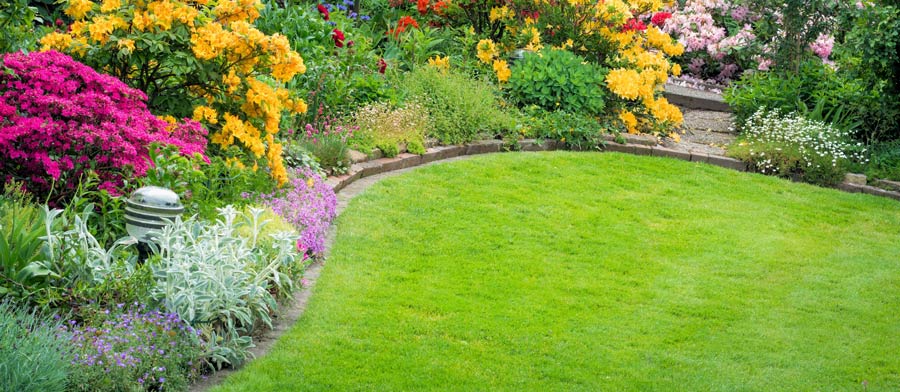Eine große, ebene Rasenfläche im Garten ist ideal für ein Trampolin