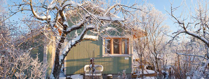 Bei Eis und Schnee ist das Haus für viele Pflanzen der beste Überwinterungsort