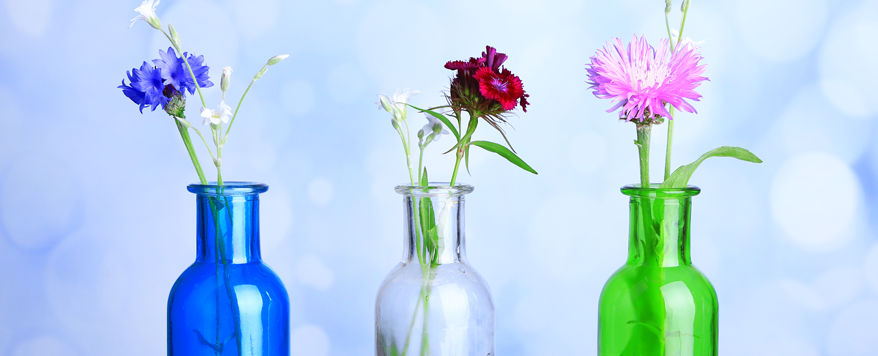 Flaschenvasen eignen sich gut für langstielige Blumen