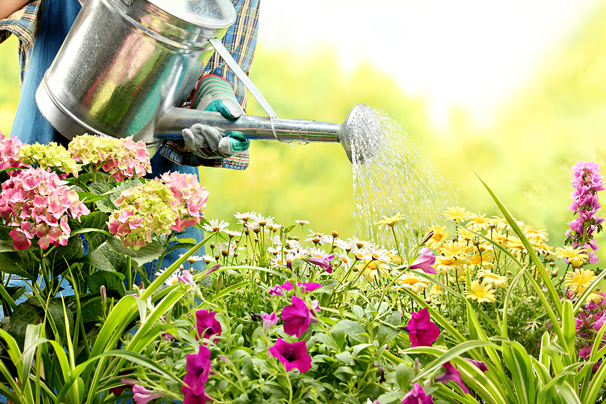 blumen-giessen-garten-tipps.jpg