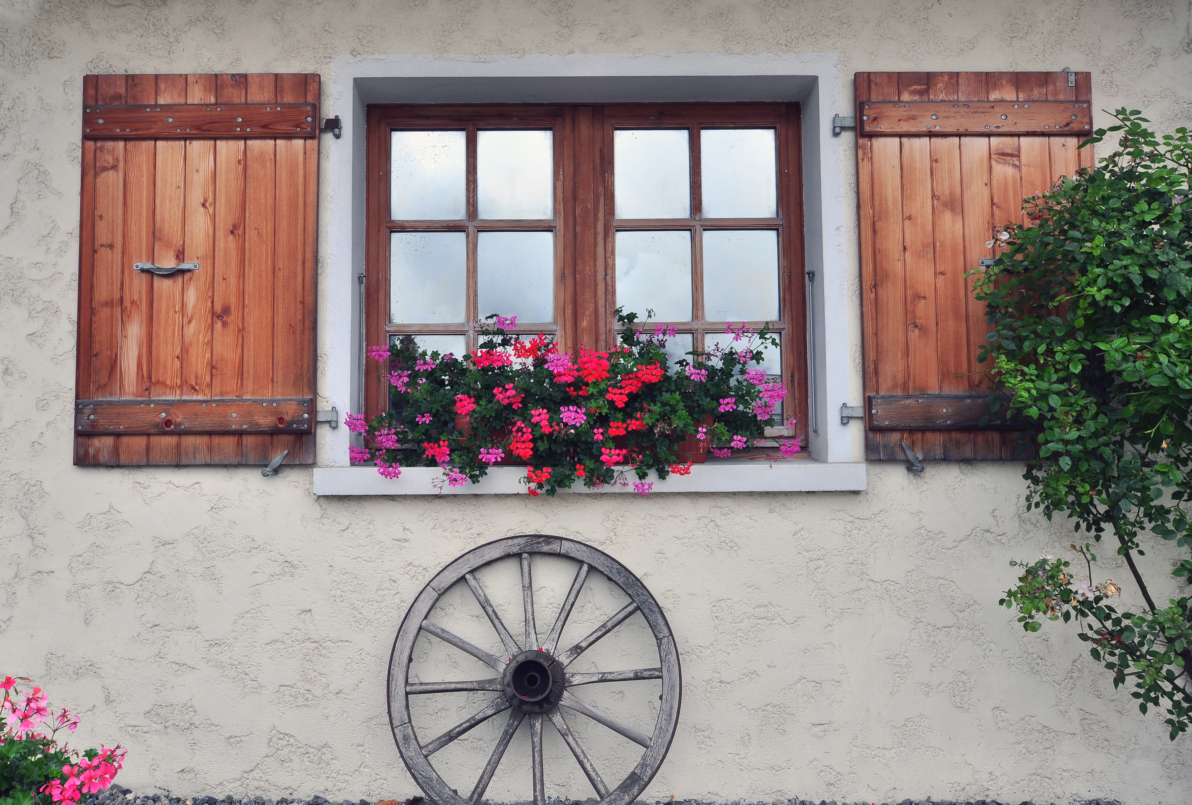 Besondere Blumen garantieren den typischen Landhaus-Flair.