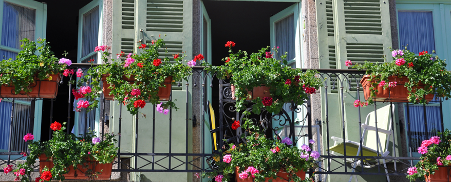 Balkon mit Grünpflanzen und Blumen romantisch französisch gestalten