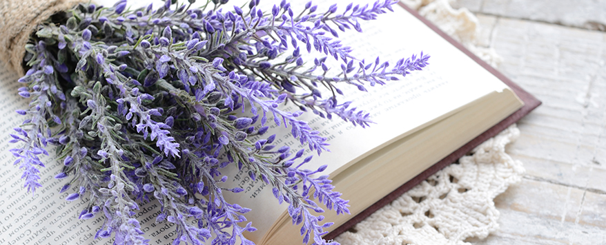 Getrocknete Lavendelzweige können als Dekoration genutzt werden und verströmen einen schönen Duft