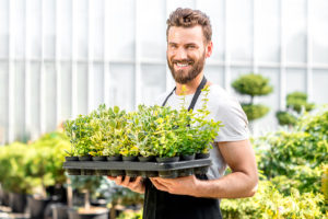 Früh starten mit dem Gewächshaus