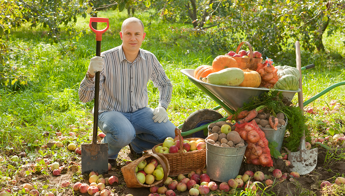 Auch im Herbst können Sie natürlich noch einiges ernten.