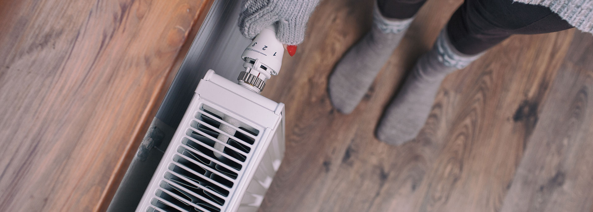 Bildquelle: © NinaMalyna/Shutterstock.com